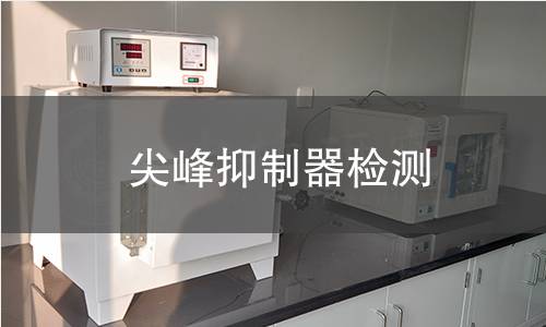 尖峰抑制器检测