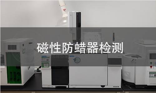 磁性防蜡器检测