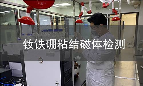 钕铁硼粘结磁体检测
