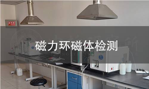 磁力环磁体检测