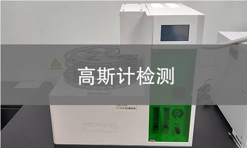 高斯计检测