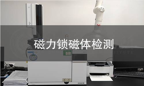 磁力锁磁体检测