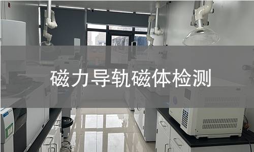 磁力导轨磁体检测