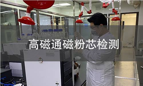 高磁通磁粉芯检测