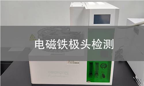 电磁铁极头检测