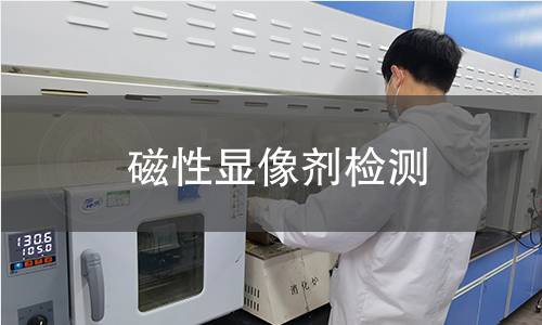 磁性显像剂检测