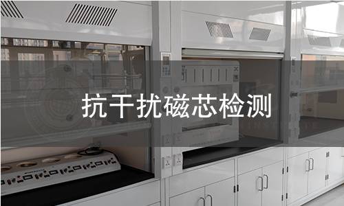 抗干扰磁芯检测