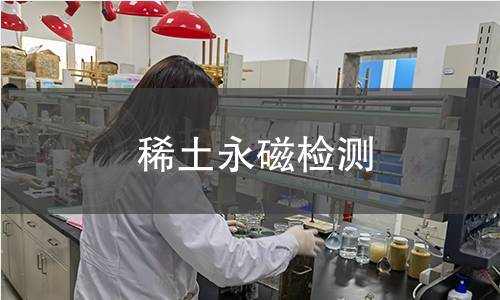 稀土永磁检测
