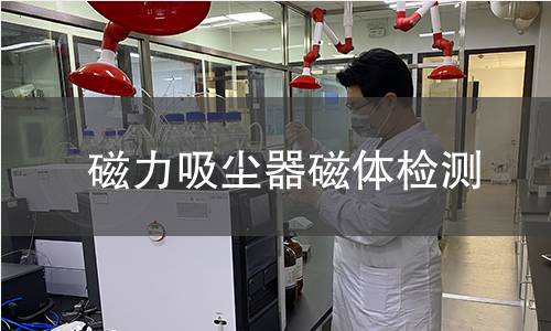 磁力吸尘器磁体检测