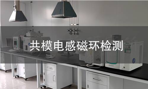 共模电感磁环检测