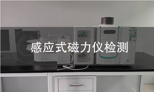 感应式磁力仪检测