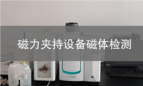 磁力夹持设备磁体检测