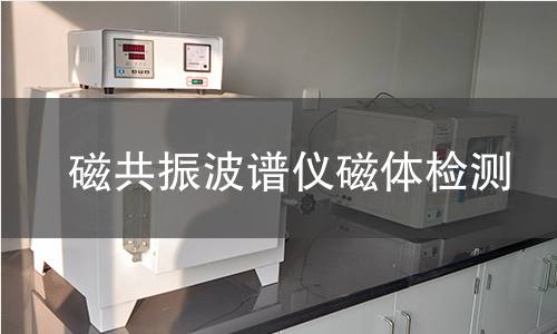 磁共振波谱仪磁体检测