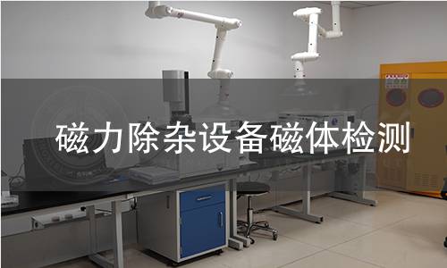 磁力除杂设备磁体检测