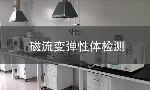 磁流变弹性体检测