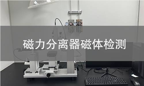 磁力分离器磁体检测