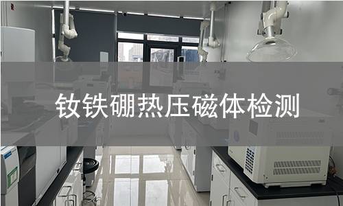 钕铁硼热压磁体检测