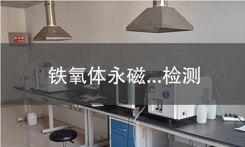铁氧体永磁...检测