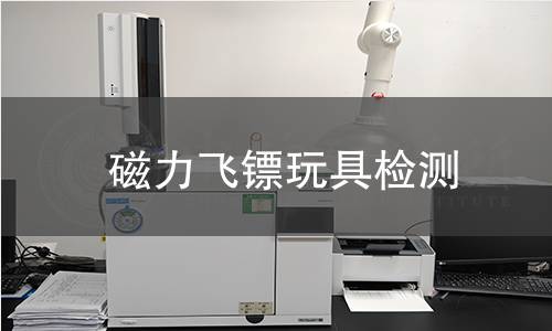 磁力飞镖玩具检测