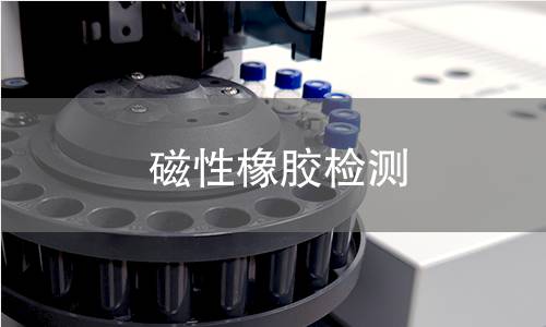 磁性橡胶检测