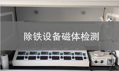 除铁设备磁体检测