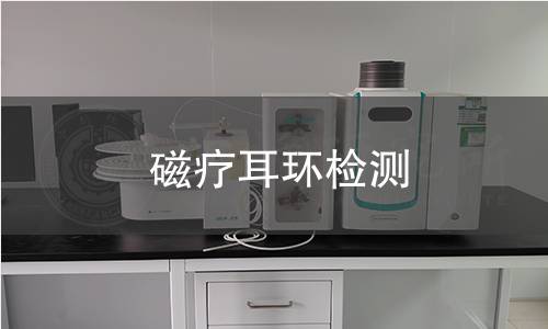 磁疗耳环检测