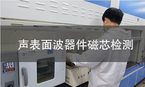 声表面波器件磁芯检测