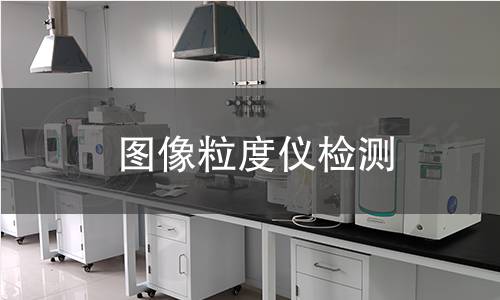 图像粒度仪检测