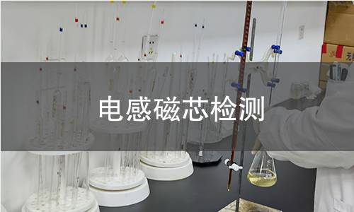电感磁芯检测