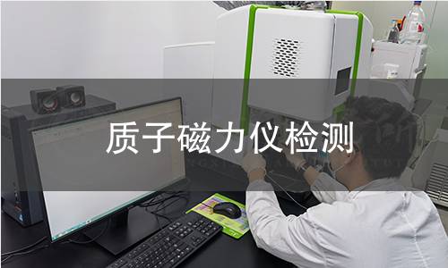 质子磁力仪检测