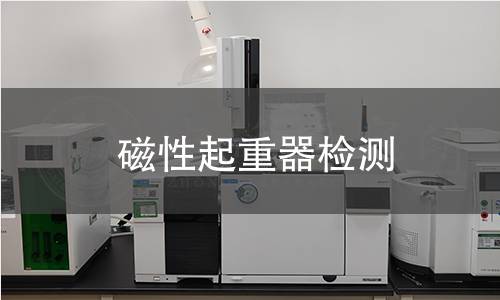磁性起重器检测