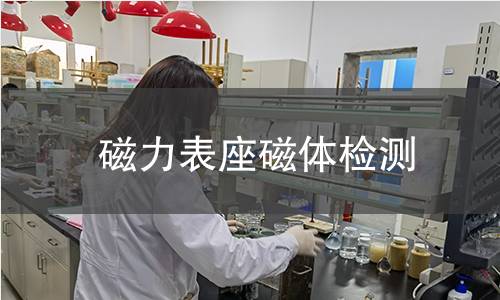 磁力表座磁体检测