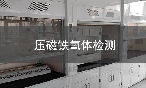 压磁铁氧体检测