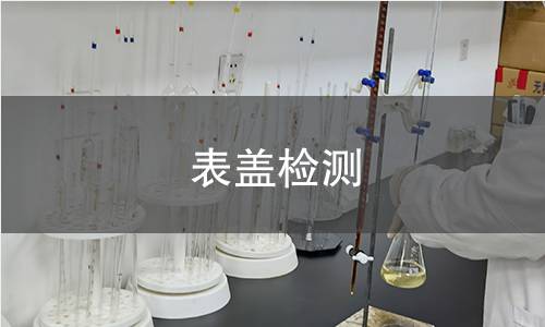 表盖检测