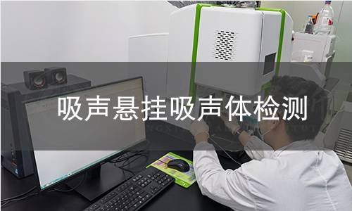 吸声悬挂吸声体检测
