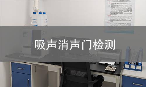 吸声消声门检测