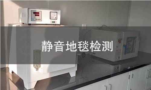 静音地毯检测