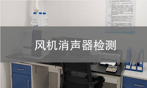 风机消声器检测