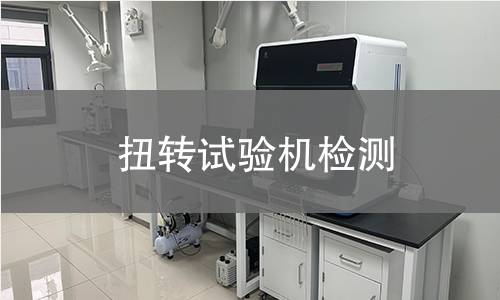 扭转试验机检测