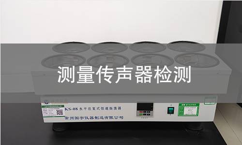 测量传声器检测