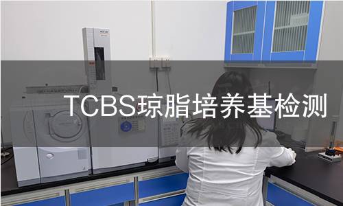 TCBS琼脂培养基检测