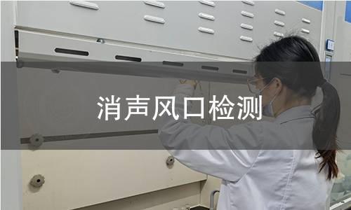 消声风口检测