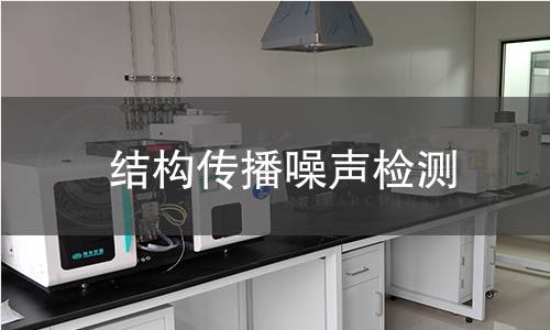 结构传播噪声检测