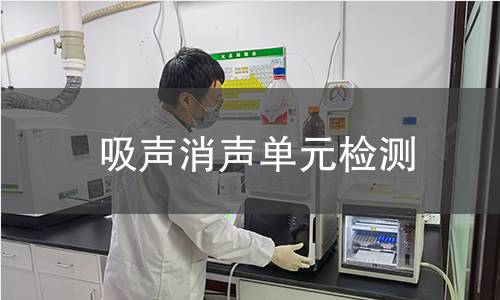 吸声消声单元检测