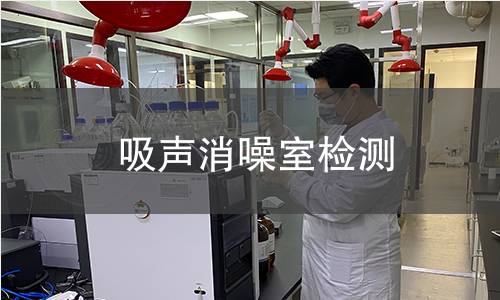 吸声消噪室检测