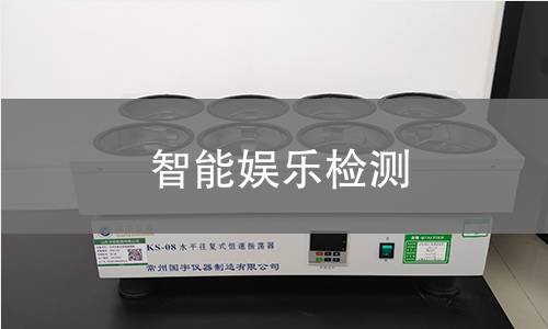 智能娱乐检测