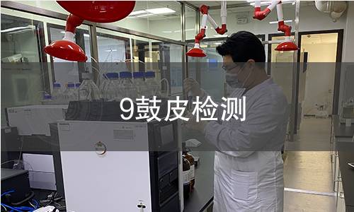 9鼓皮检测