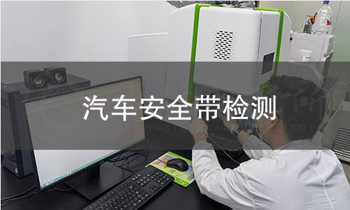 汽车安全带检测