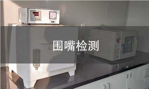 围嘴检测
