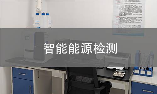 智能能源检测
